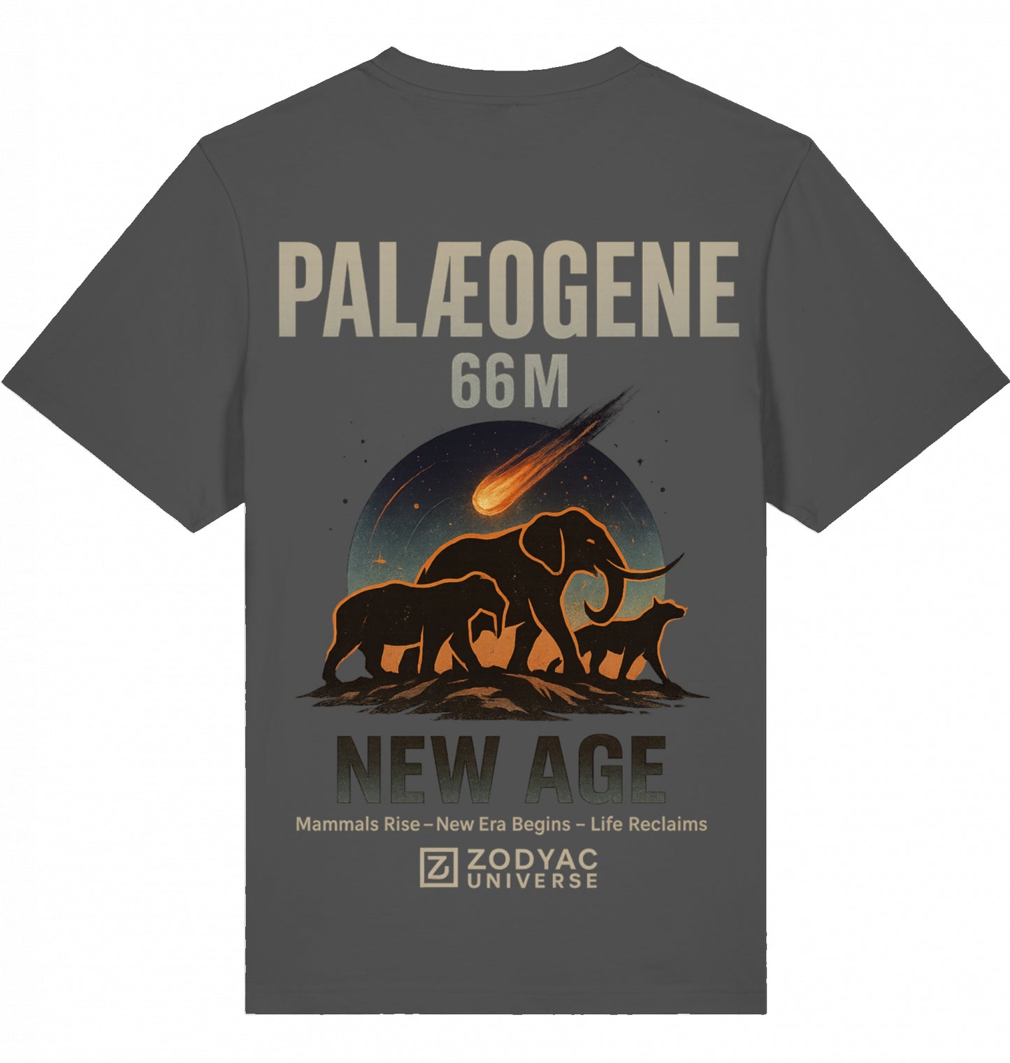 PALAEOGENE - Oversized T-Shirt