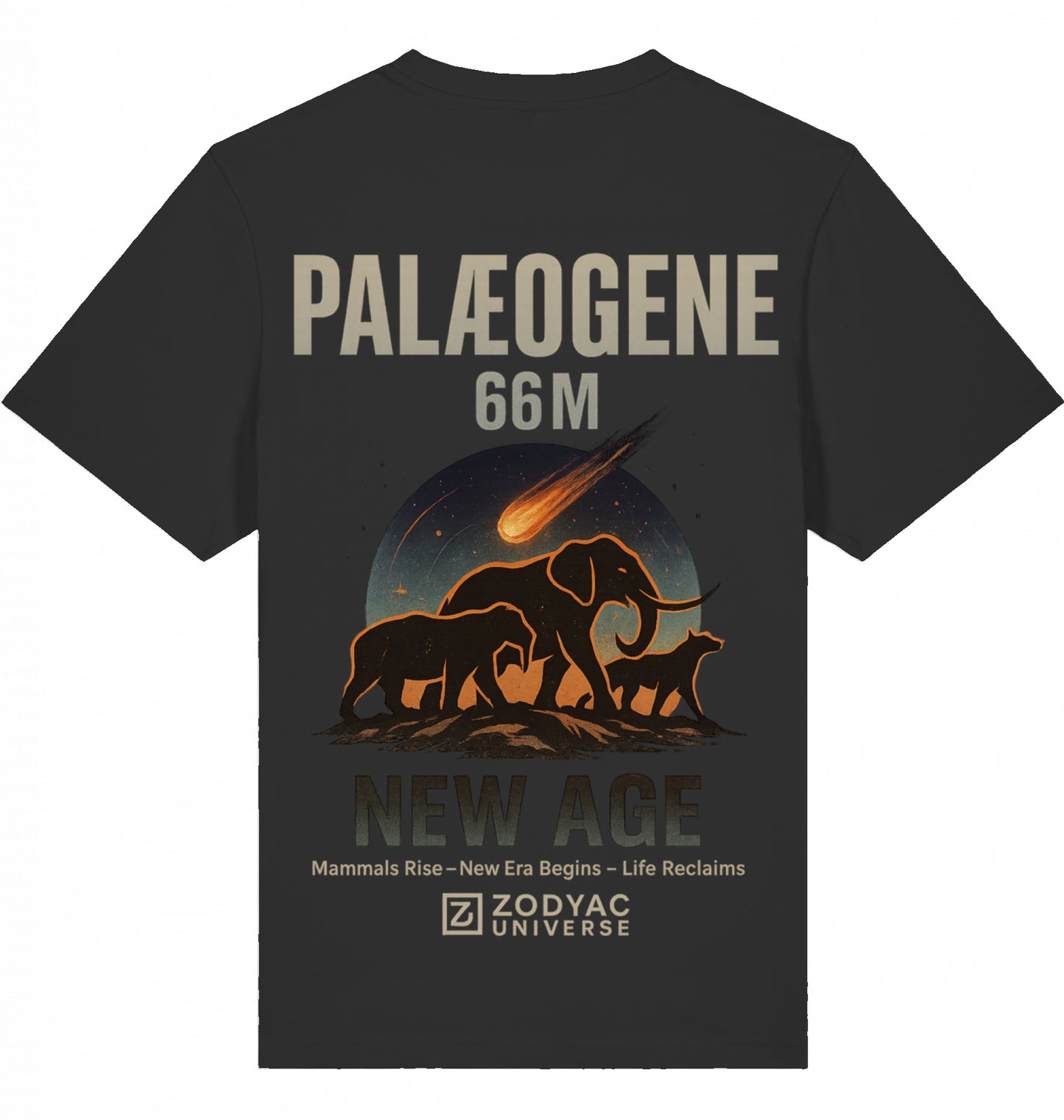 PALAEOGENE - Oversized T-Shirt