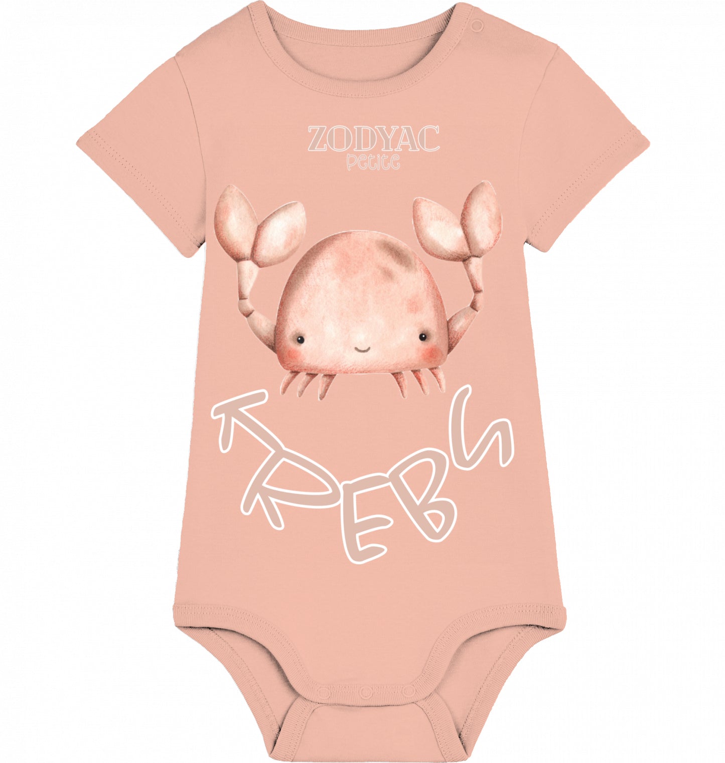 Kleiner Krebs Body