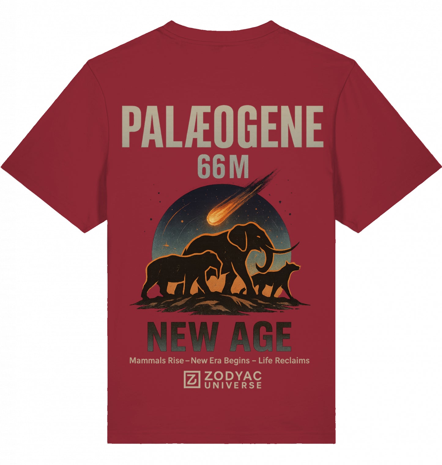 PALAEOGENE - Oversized T-Shirt