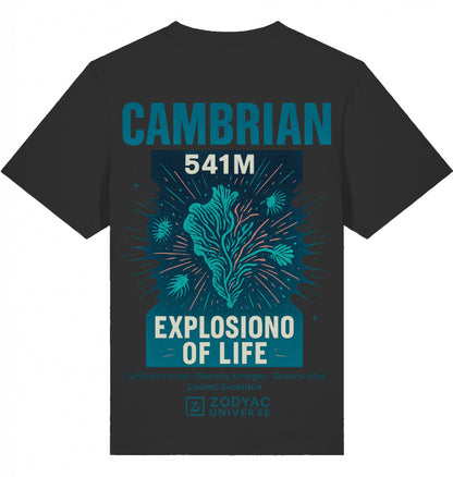 CAMBRIAN - Oversized T-Shirt