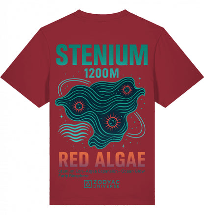 STENIUM - Oversized T-Shirt