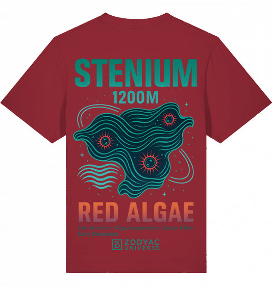 STENIUM - Oversized T-Shirt