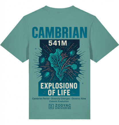 CAMBRIAN - Oversized T-Shirt