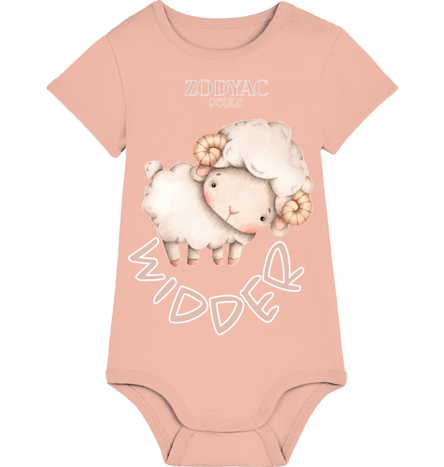 Kleiner Widder Body