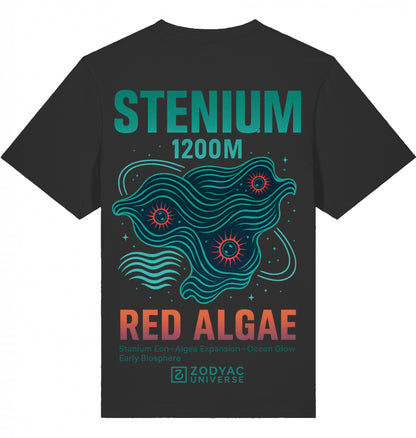 STENIUM - Oversized T-Shirt